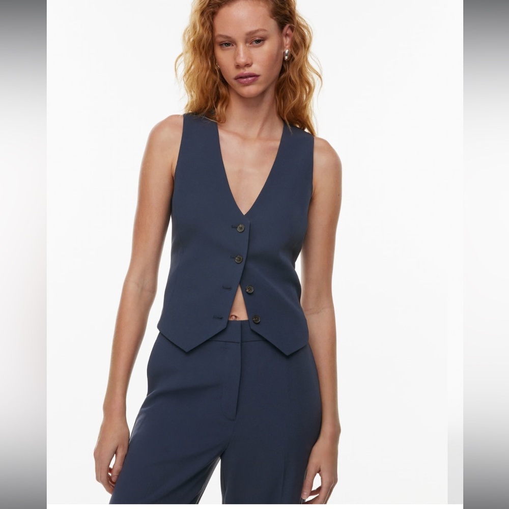 Aritzia Babaton Deniro Vest